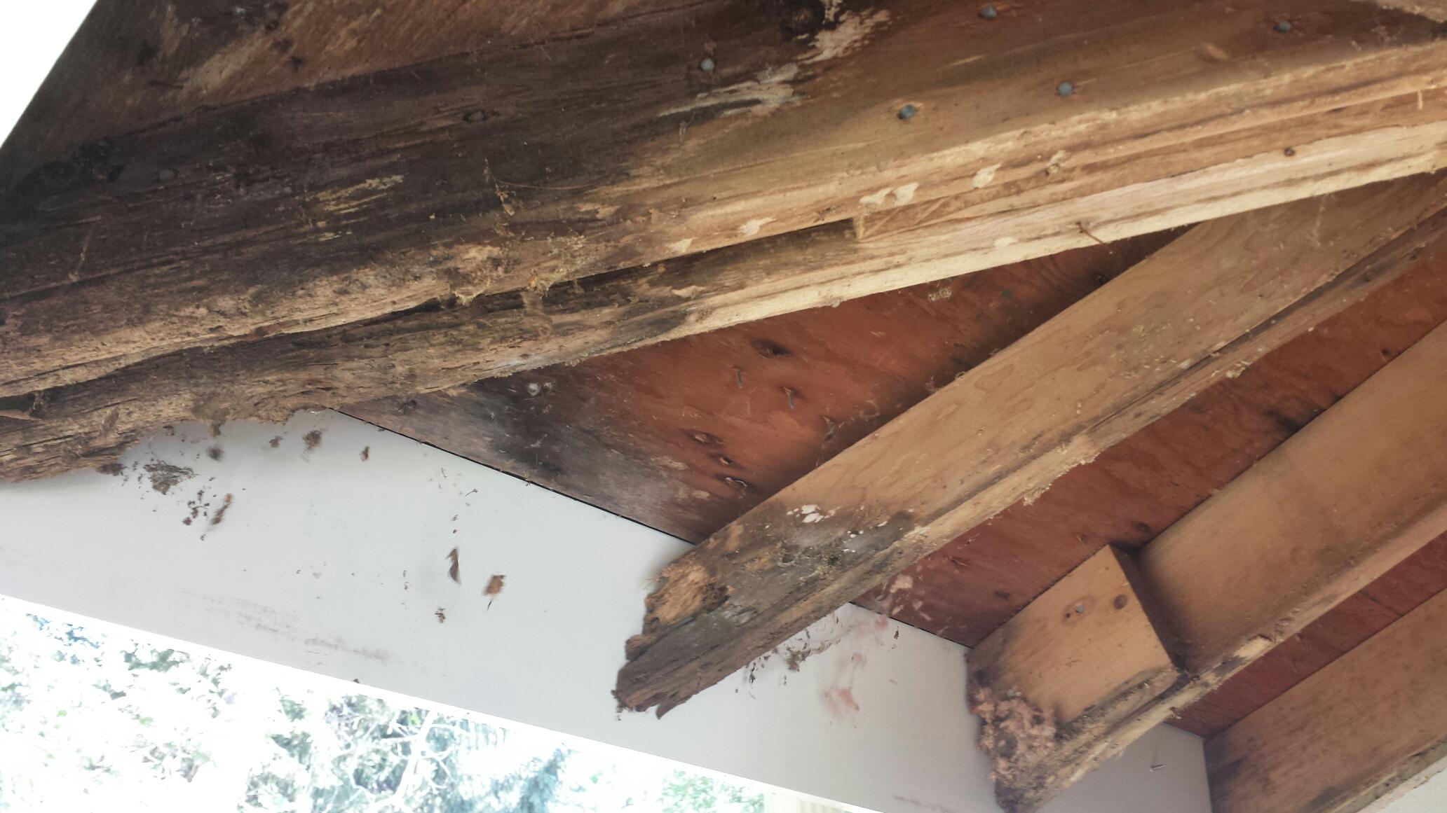 rotted rafters