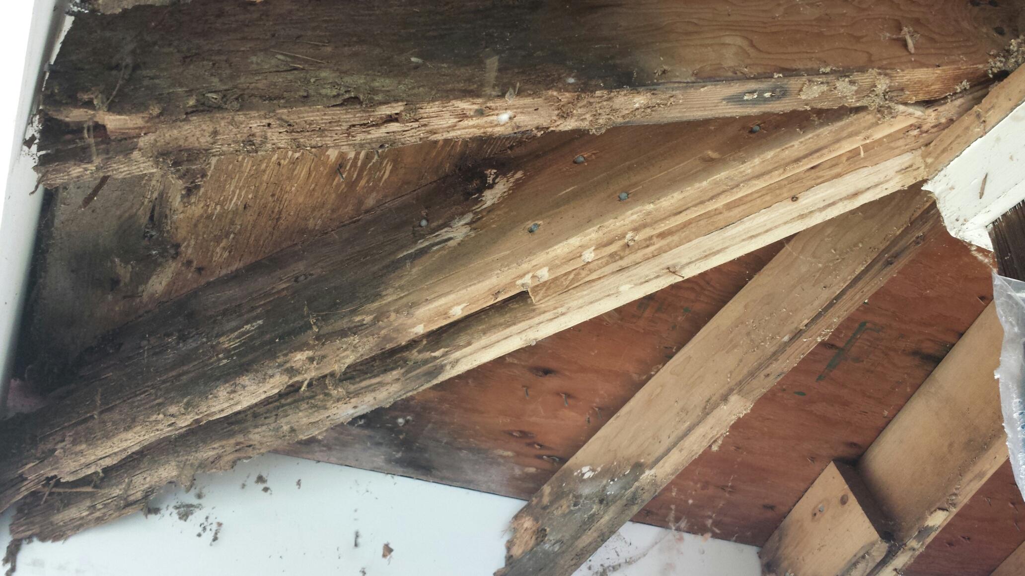 rotted rafters