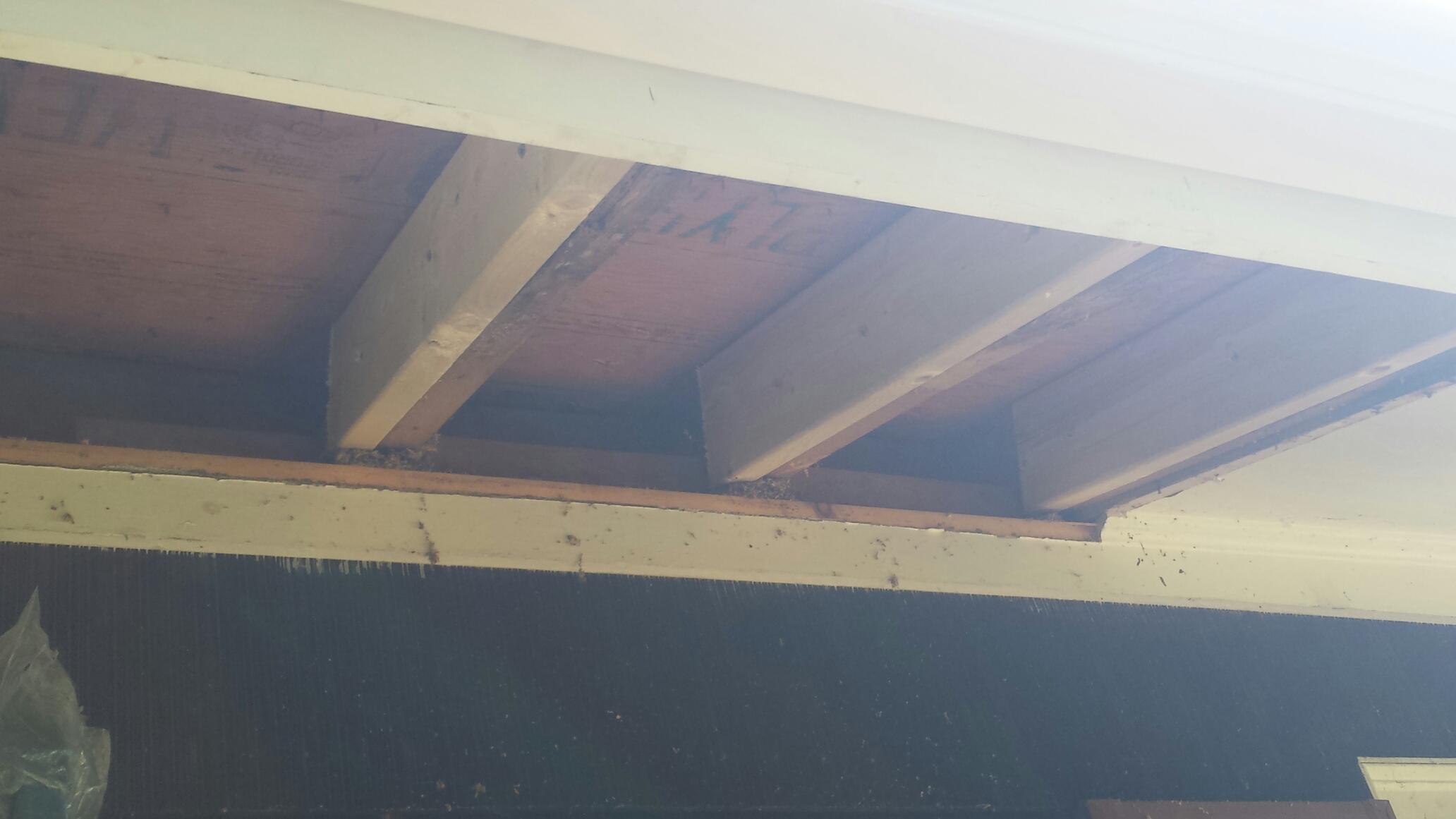 rafter ends repaired